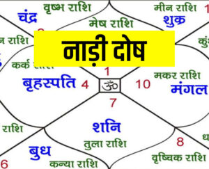 Read more about the article What is Nadi Dosha in Kundli Matching? Find and Remove It